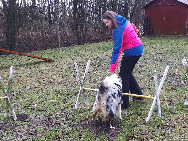 Tréninková lekce na překážkách