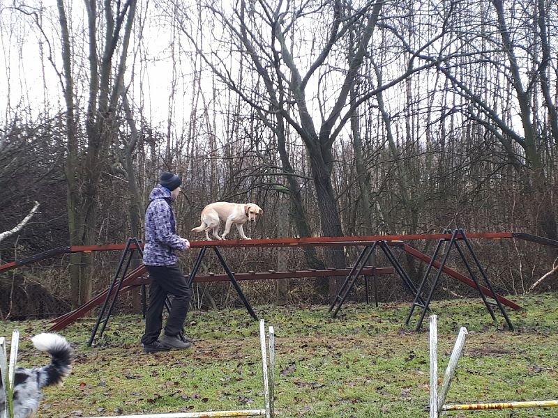 Tréninková lekce na překážkách