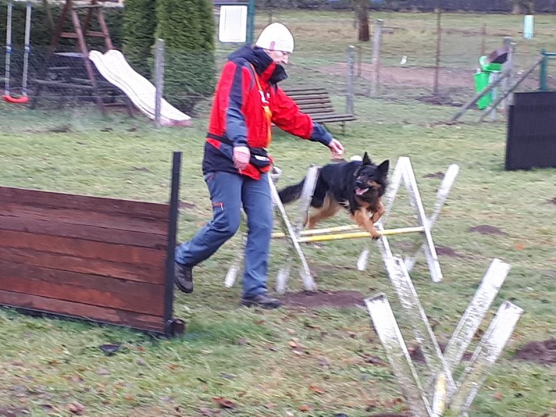 Tréninková lekce na překážkách