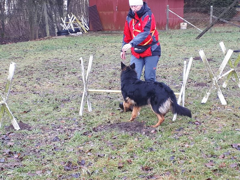 Tréninková lekce na překážkách