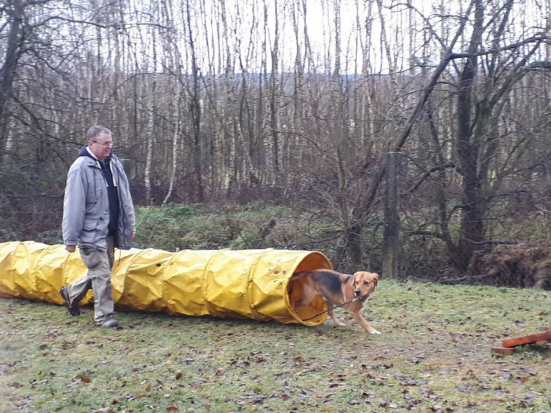 Tréninková lekce na překážkách