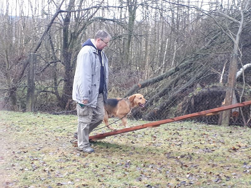 Tréninková lekce na překážkách