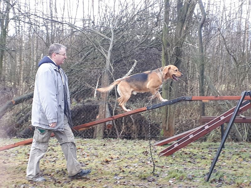 Tréninková lekce na překážkách