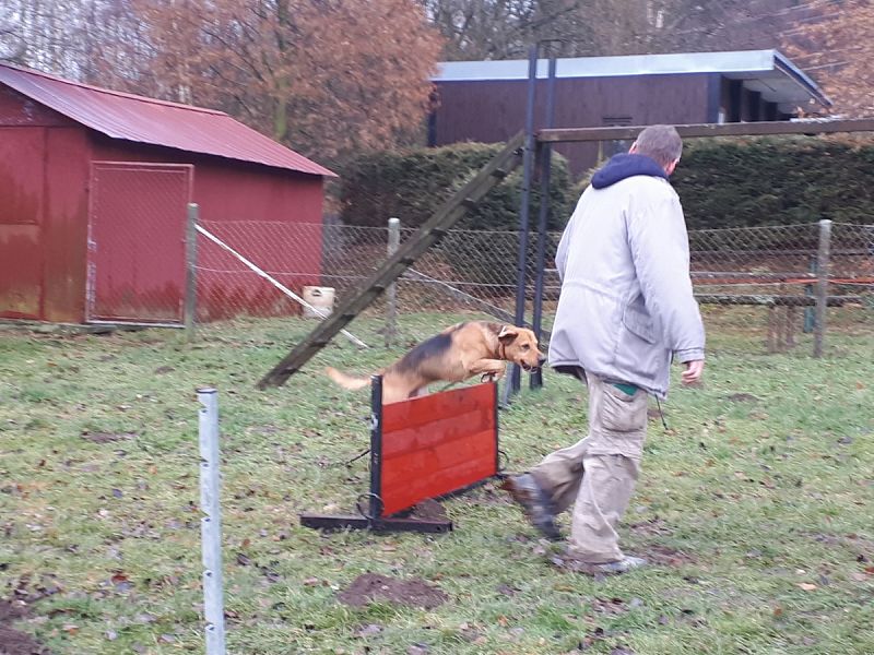 Tréninková lekce na překážkách