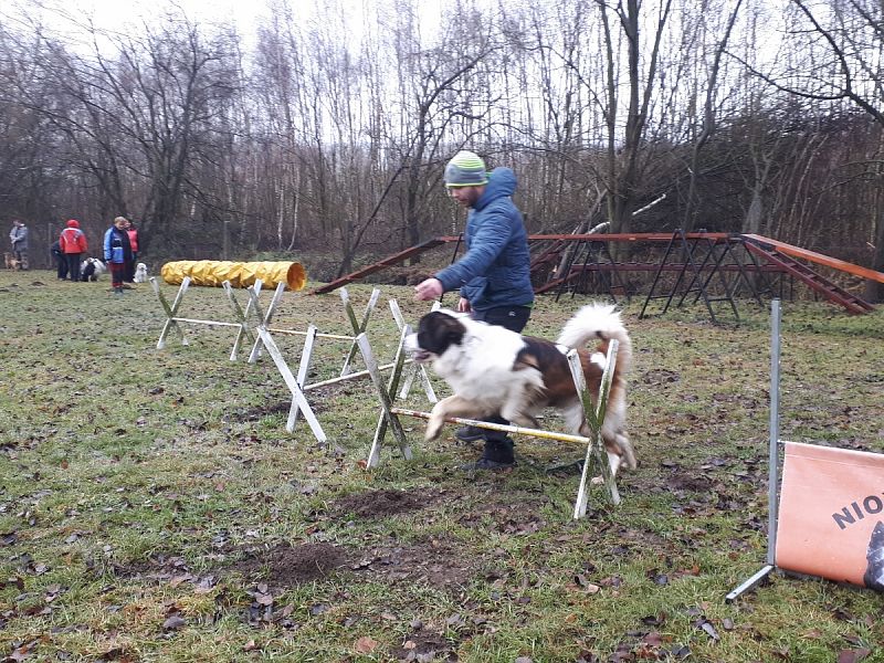 Tréninková lekce na překážkách