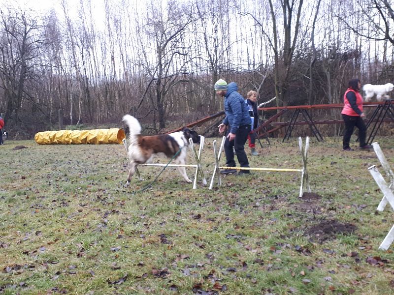 Tréninková lekce na překážkách