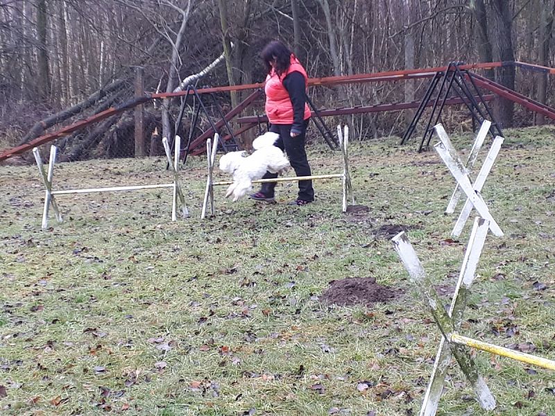 Tréninková lekce na překážkách