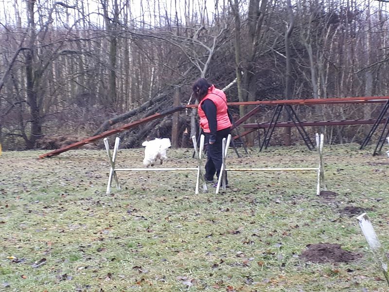 Tréninková lekce na překážkách