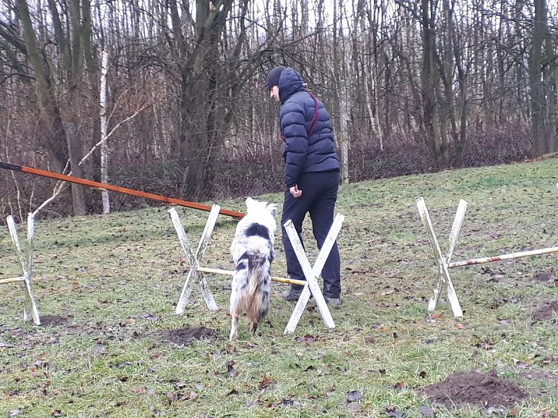 Tréninková lekce na překážkách