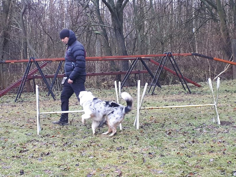 Tréninková lekce na překážkách