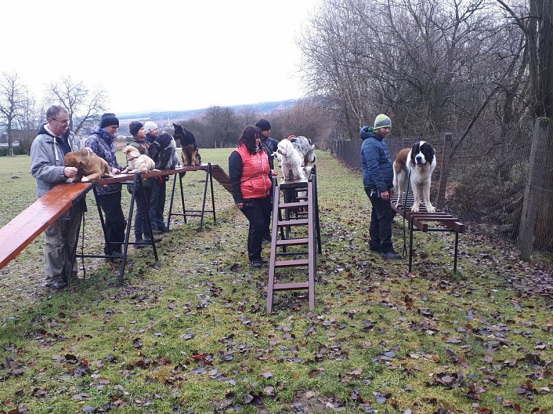 Tréninková lekce na překážkách