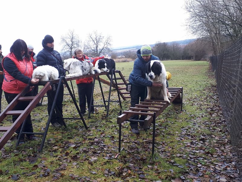 Tréninková lekce na překážkách