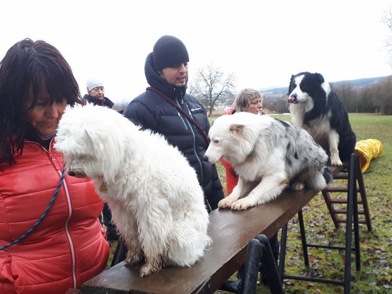 Tréninková lekce na překážkách