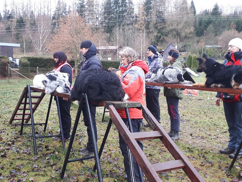 Tréninková lekce na překážkách