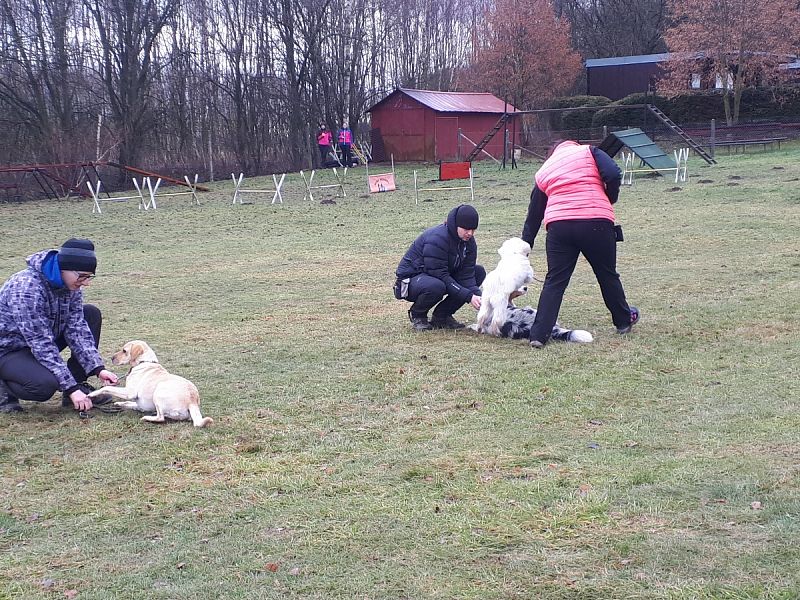 Tréninková lekce na překážkách