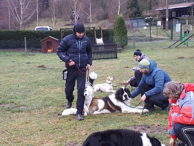 Tréninková lekce na překážkách