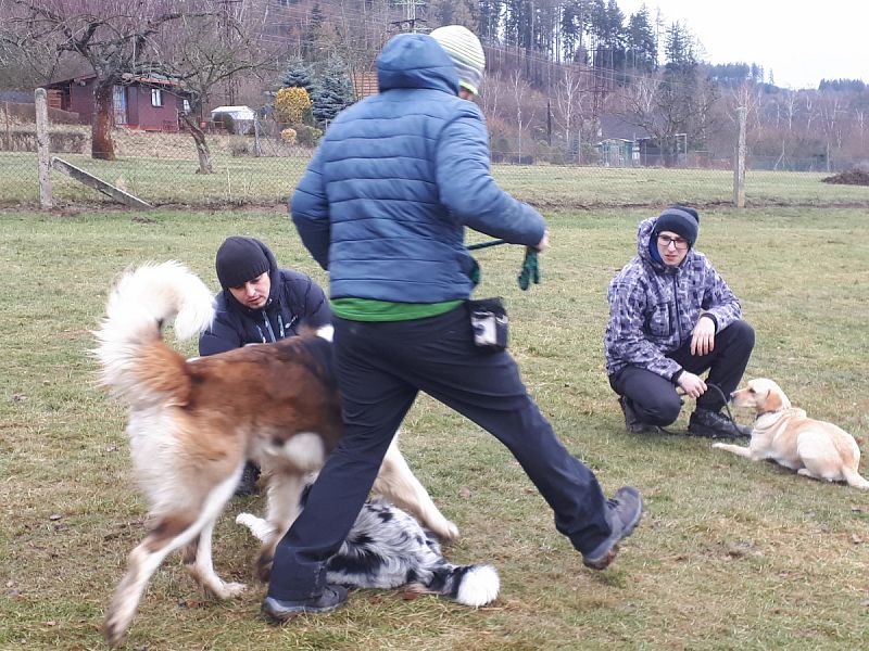 Tréninková lekce na překážkách