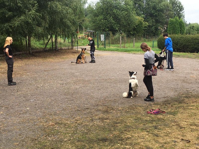 Tréninkové soustředění mládeže Javorka 25. - 29.8 2021