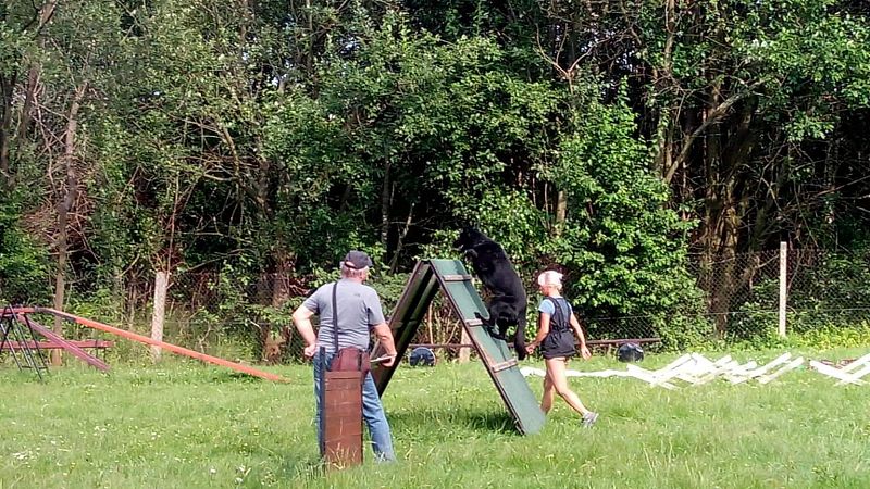 Třídenní zkoušky KJ - vynikající výsledky!