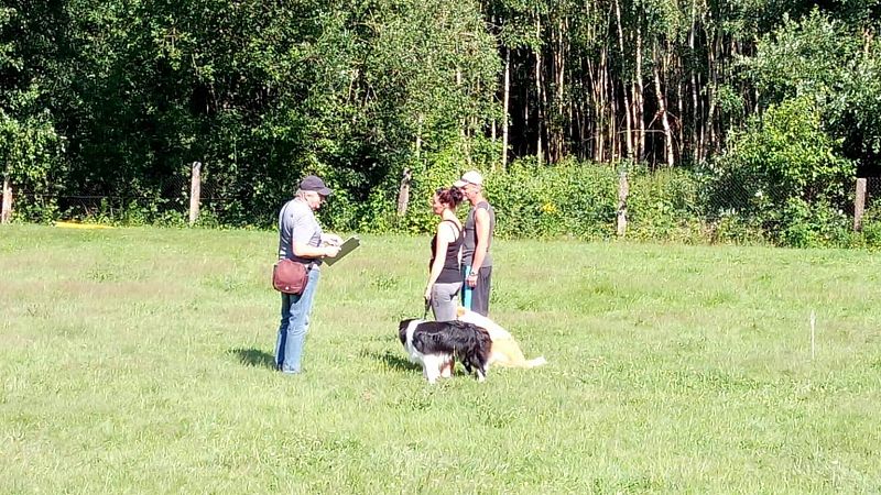 Třídenní zkoušky KJ - vynikající výsledky!