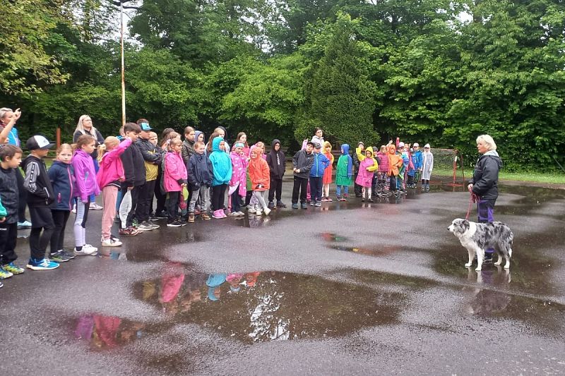 Ukázka výcviku pro ZŠ Libchavy – 30. 5. 2025