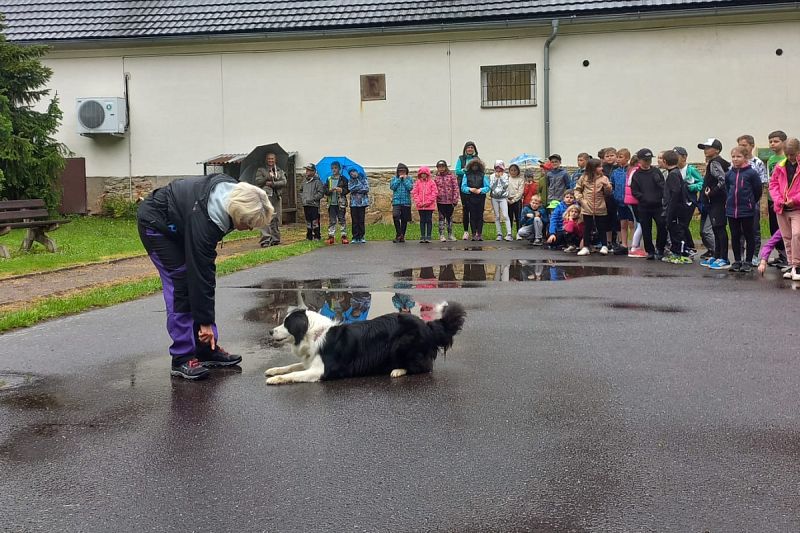 Ukázka výcviku pro ZŠ Libchavy – 30. 5. 2025