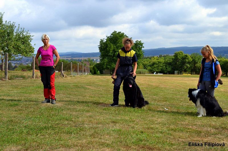 Ukázka výcviku psů pro Příměstský tábor s angličtinou pod vedení paní Olgy Sýkorové