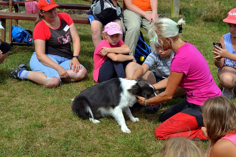 Ukázka výcviku psů pro Příměstský tábor s angličtinou pod vedení paní Olgy Sýkorové