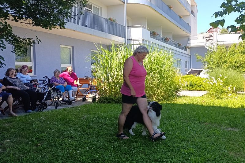 Ukázka výcviku psů v Domově seniorů v České Třebové – 2. 7. 2025