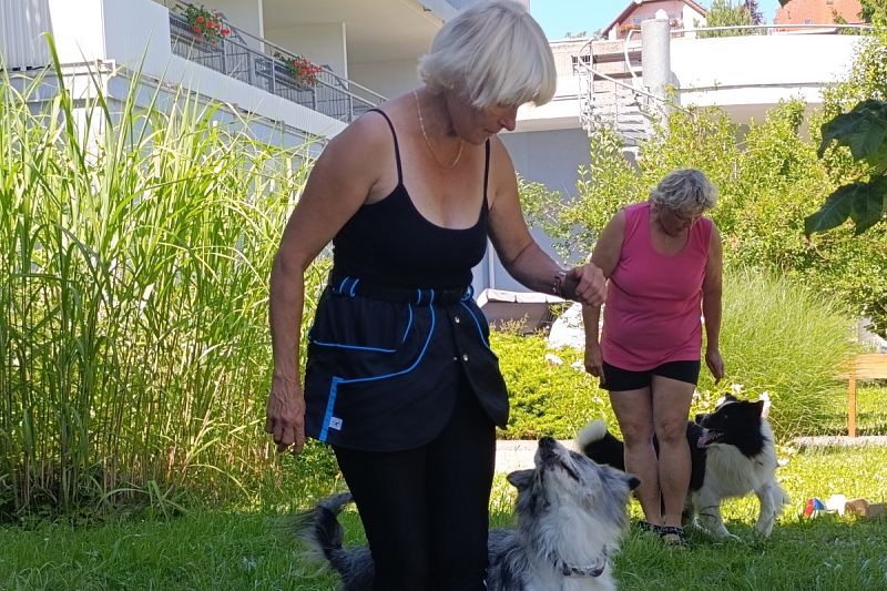 Ukázka výcviku psů v Domově seniorů v České Třebové – 2. 7. 2025