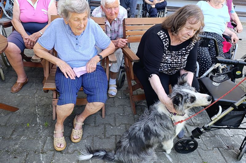 Ukázka výcviku psů v Domově seniorů v České Třebové – 2. 7. 2025