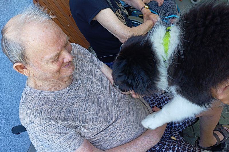 Ukázka výcviku psů v Domově seniorů v České Třebové – 2. 7. 2025