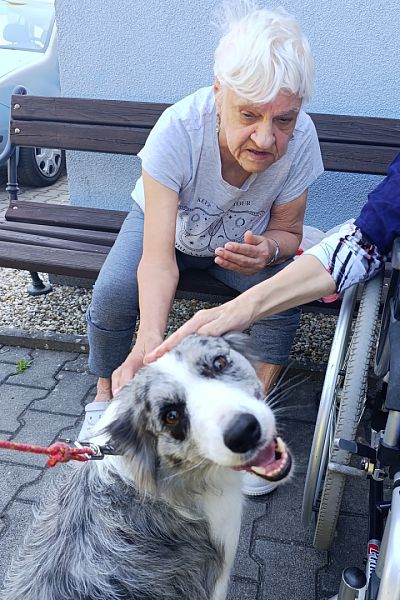 Ukázka výcviku psů v Domově seniorů v České Třebové – 2. 7. 2025