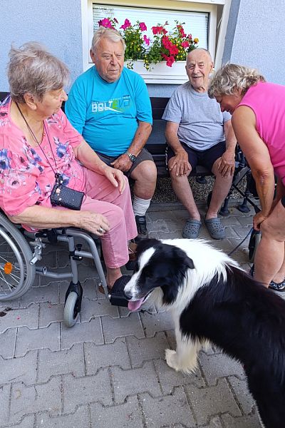 Ukázka výcviku psů v Domově seniorů v České Třebové – 2. 7. 2025