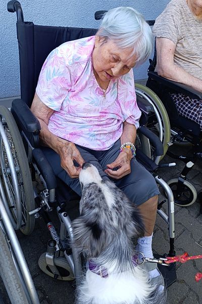 Ukázka výcviku psů v Domově seniorů v České Třebové – 2. 7. 2025