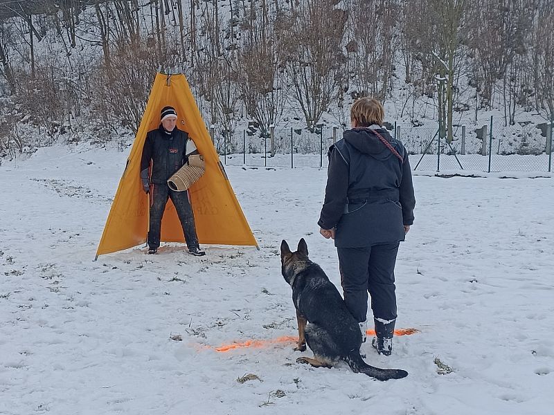 Vánoční obranářský závod Žamberk 2023