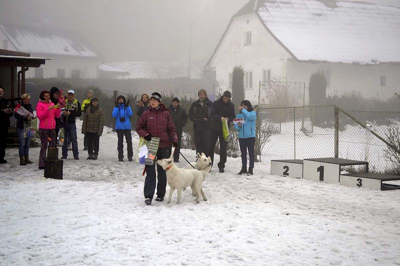 Vánoční závod Žamberk 2016