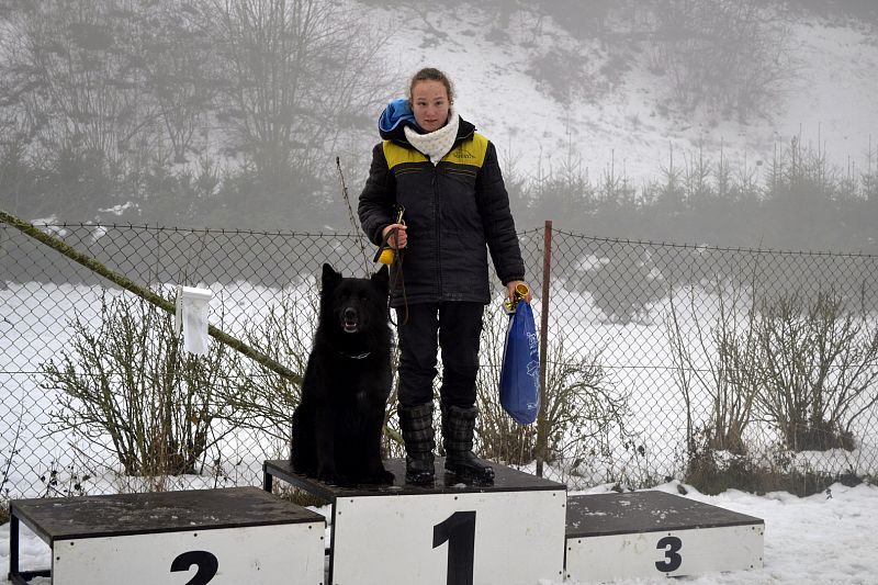 Vánoční závod Žamberk 2016