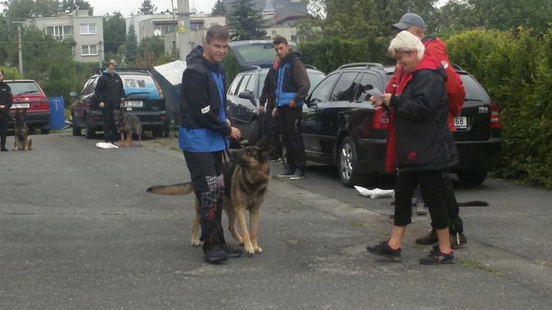 VS mládeže stopařů Albrechtice u Českého Těšína