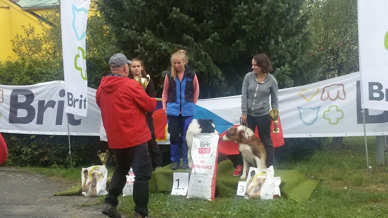 VS mládeže stopařů Albrechtice u Českého Těšína