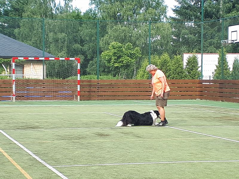 Vystoupení pro firmu VNT elektronics Lanškroun 24.6.2021