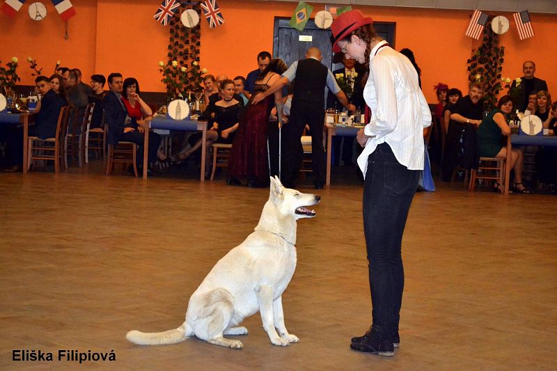 Vystoupení s dogdancingem v Národním domě