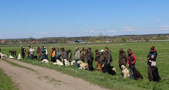 Working testy Velký Borek u Mělníka 24.4.2022