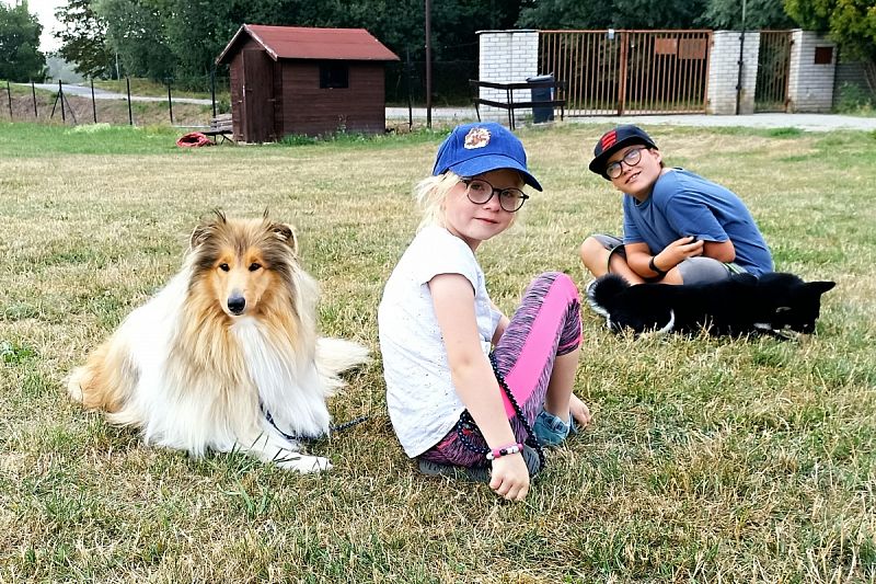 XXII. letní tábor pro děti a psy