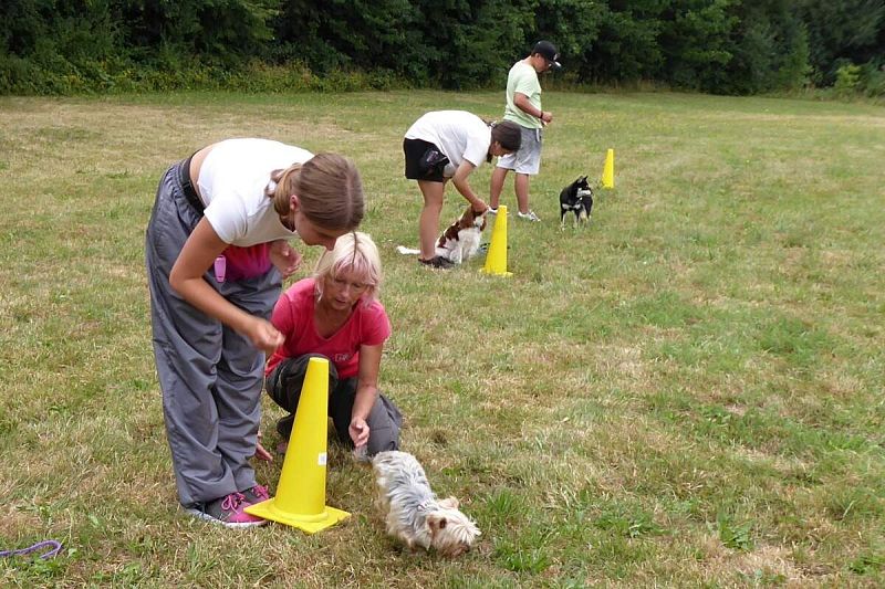 XXIII. letní tábor pro děti a psy