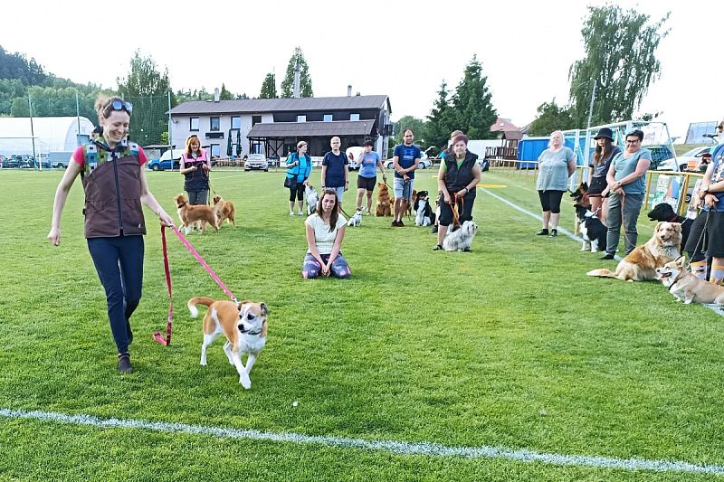 Závod 1. Rally obedience