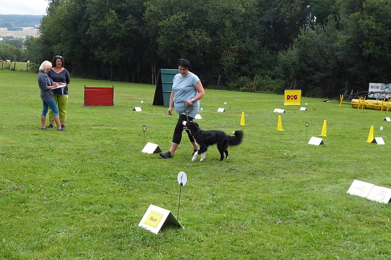 Závod Rally obedience 27.8.