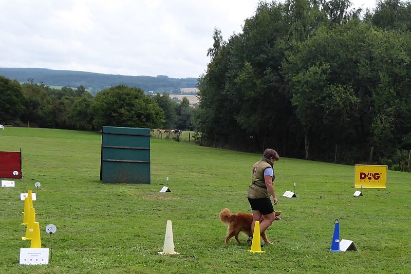 Závod Rally obedience 27.8.