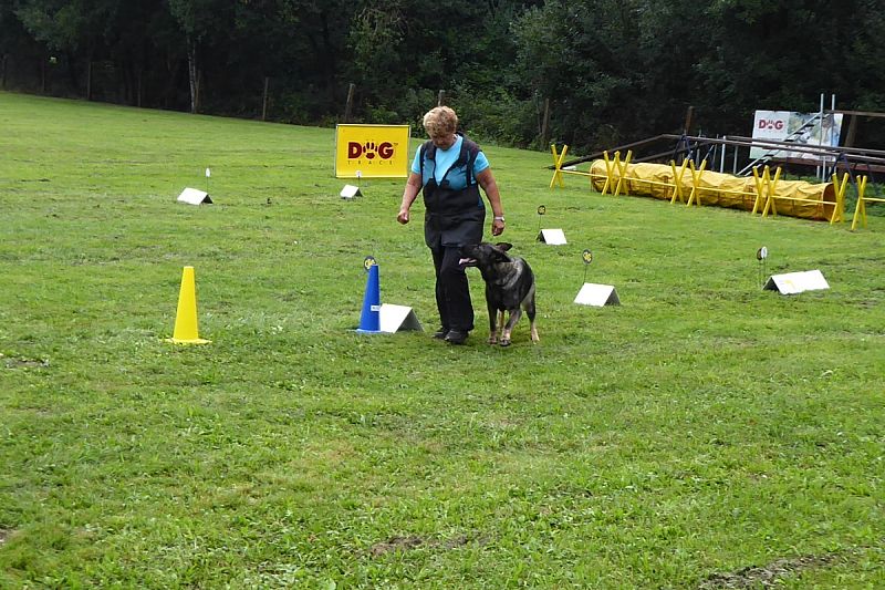 Závod Rally obedience 27.8.