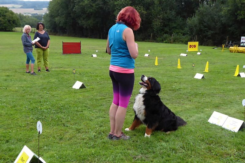 Závod Rally obedience 27.8.